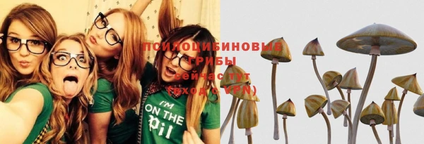 ПСИЛОЦИБИНОВЫЕ ГРИБЫ Алексин