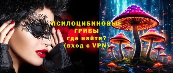 ПСИЛОЦИБИНОВЫЕ ГРИБЫ Алексин