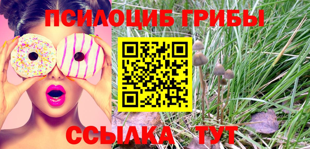 Куйбышев  Галлюциногенные грибы ЛСД  Галлюциногенные грибы GOLDEN TEACHER  Вход с VPN 